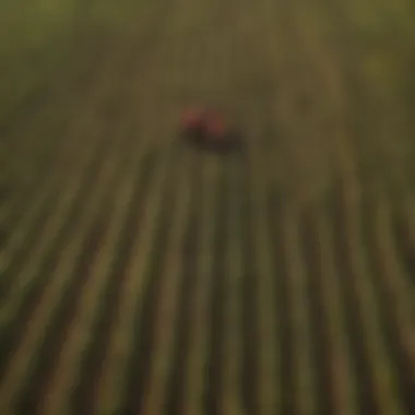 Diverse Agricultural Practices Aerial view of a vast agricultural landscape showcasing diverse crops