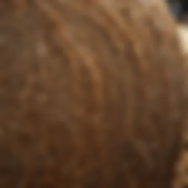 Close-up view of the advanced design features of a round bale squeeze