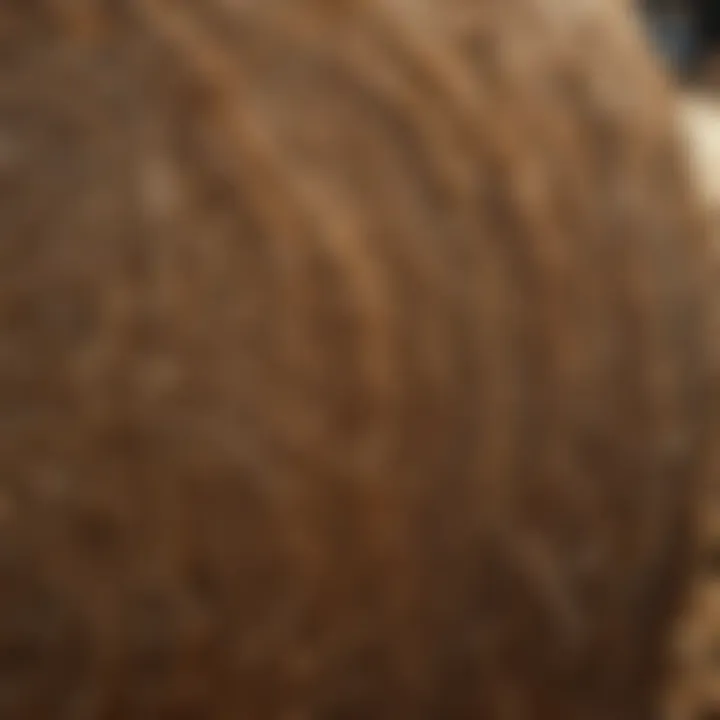 Close-up view of the advanced design features of a round bale squeeze