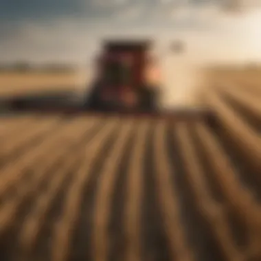 Advanced Grain Header in Action An advanced grain header in action during harvest season in a vast field.