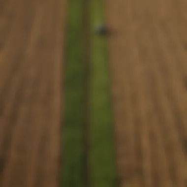 Aerial view of agricultural fields with various crops