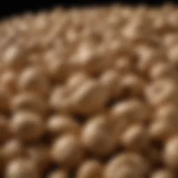 Close-up of raw cashews showcasing their texture