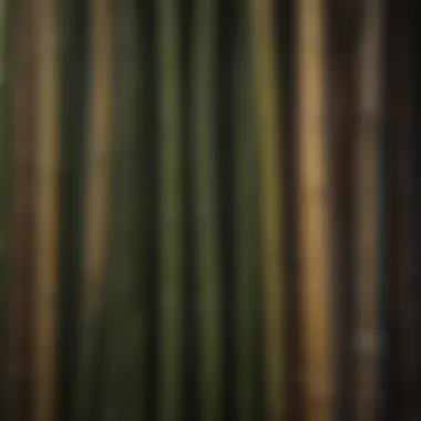 Varieties of Bamboo: Versatile Tools for Gardeners Different types of bamboo sticks displayed for gardening use