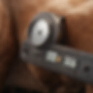 Comparison of Various Cattle Scale Types Different types of cattle scales available on the market