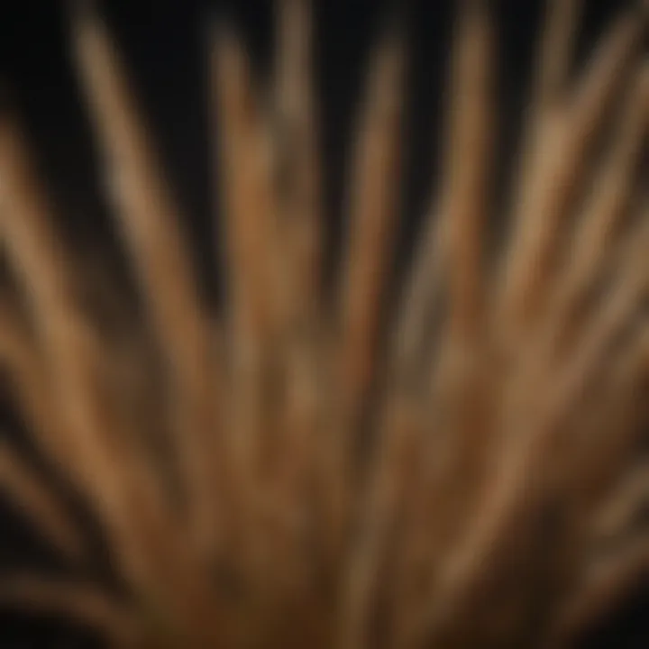Close-up of wheat stalks elegantly incorporated into a floral arrangement