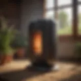Modern light gas heater in an agricultural setting
