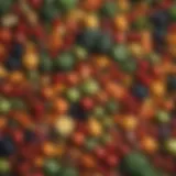 Colorful array of fruits and vegetables