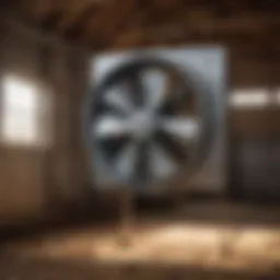 High-performance shutter exhaust fan installed in an agricultural barn