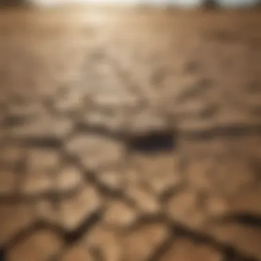 Drought Conditions Impacting Agriculture A cracked earth landscape illustrating drought conditions