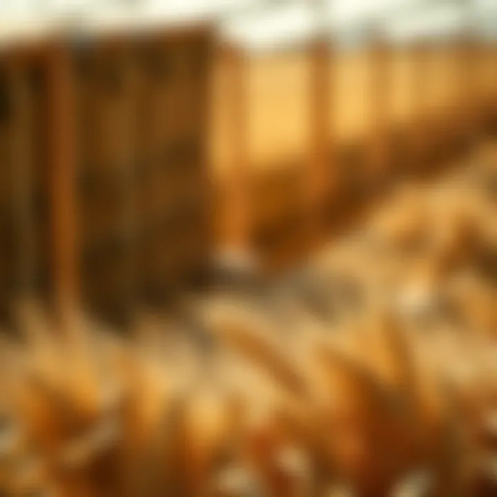 Trade Policies and Grain Market Dynamics A conceptual image representing trade policies impacting the grain market.