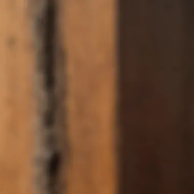 Close-up of a wooden post treated with preservative, showing durability