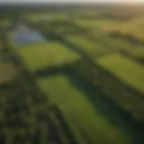 Aerial view of lush farmland in East Tawas