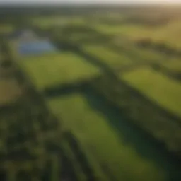 Aerial view of lush farmland in East Tawas