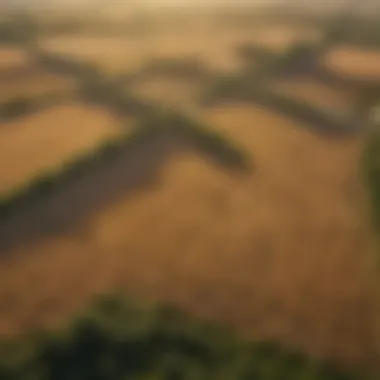 Majestic Aerial Perspective of Agricultural Lands Aerial view of vast farmland under golden sunlight