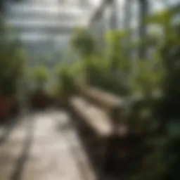Close-up of a modern bench system in a greenhouse showcasing plant growth