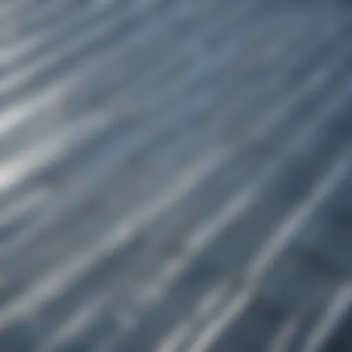 Translucent clear roofing panel showcasing natural light