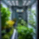 Interior view of a hydroponic grow cabinet showcasing various plants