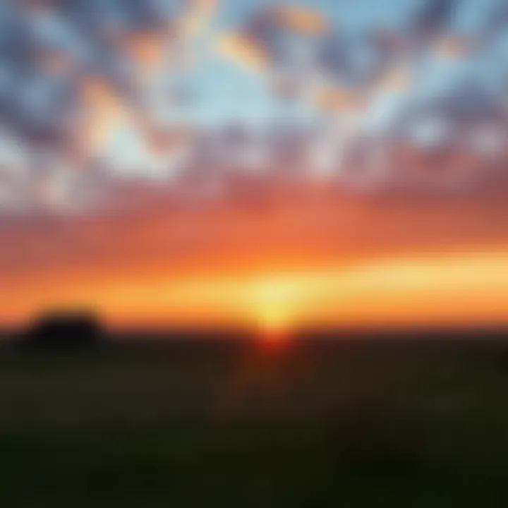 Serene Sunset View Over a Kansas Ranch Serene sunset view over a Kansas ranch property
