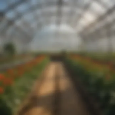 Technology integration in greenhouse management