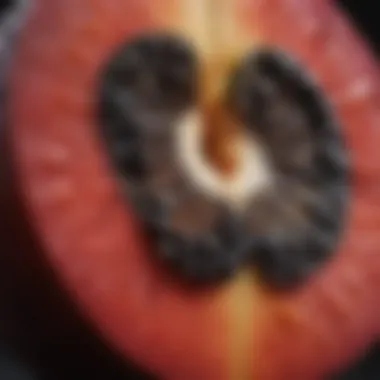 Highlighting the Nutritional Value of High Fiber Fruits Close-up of a fruit with high fiber content