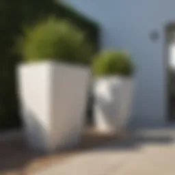 Elegant display of white square pots in a modern garden setting