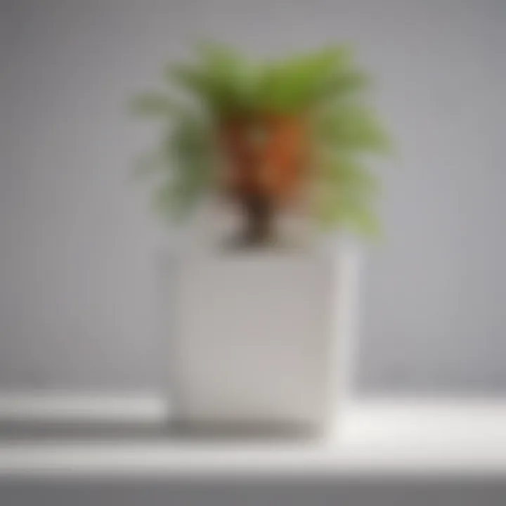Close-up of plant thriving in a white square pot showcasing healthy roots