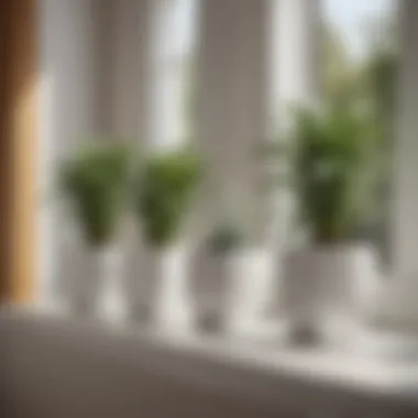 Aesthetic Appeal in Interior with White Square Pots Aesthetic appeal of white square pots in a stylish interior space