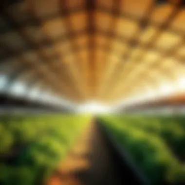 Innovative Architecture in Farm Canopy Buildings A modern farm canopy building showcasing innovative architecture