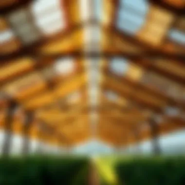 Sustainable Materials in Farm Canopy Design Inside view of a sustainable farm canopy, highlighting eco-friendly materials