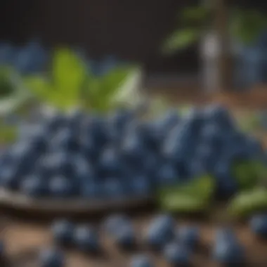 Best Blueberry Varieties for Indoor Growth A variety of blueberry plants with labels for indoor gardening