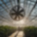 Modern hanging fan in an agricultural greenhouse