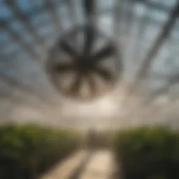 Modern hanging fan in an agricultural greenhouse