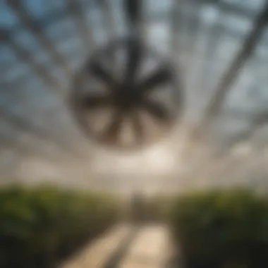 Modern hanging fan in an agricultural greenhouse