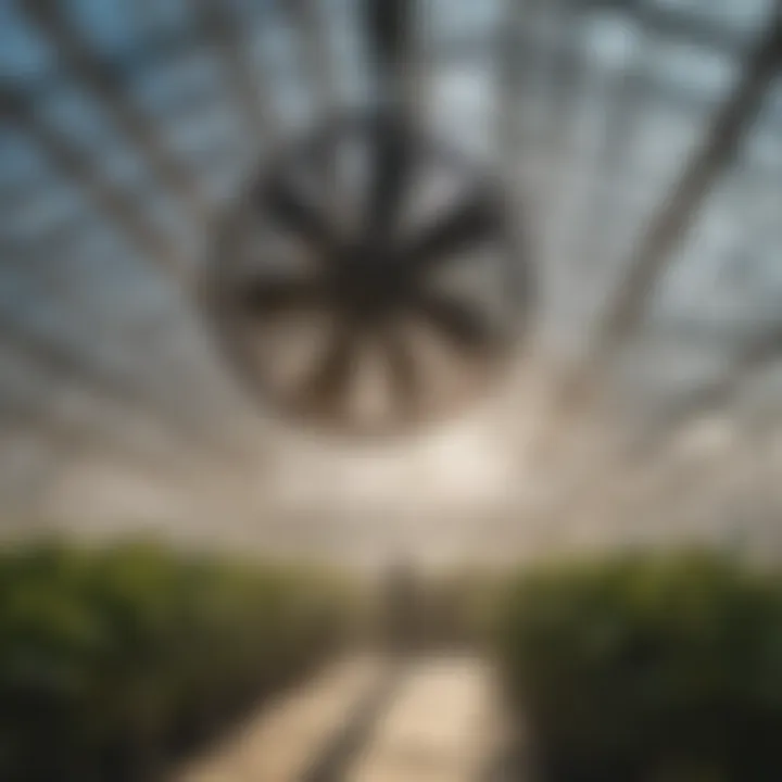 Modern hanging fan in an agricultural greenhouse