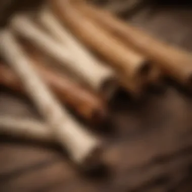 High-Quality Rawhide Materials Close-up of high-quality rawhide materials sourced from cattle