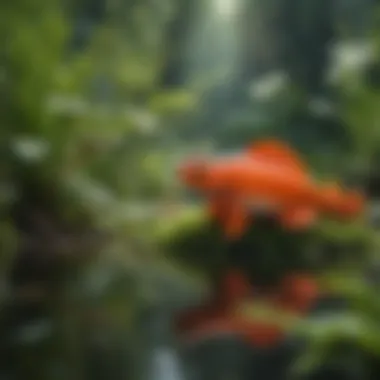 Close-up of aquatic plants and wildlife thriving in a healthy pond ecosystem