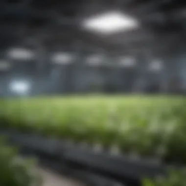 Innovative Hydroponic Irrigation Setup Modern hydroponic irrigation setup with reservoirs