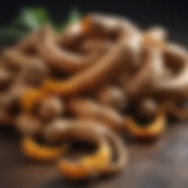 Vibrant turmeric roots showcasing their natural color