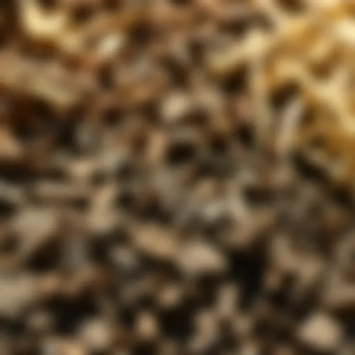 Diverse Mulching Materials for Optimal Soil Health Close-up of different mulching materials like wood chips and straw