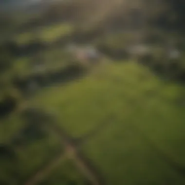 Aerial view of lush agricultural fields in Panama