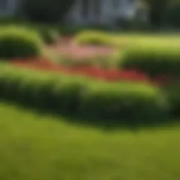 A well-maintained lawn showcasing lush green grass and vibrant flower beds