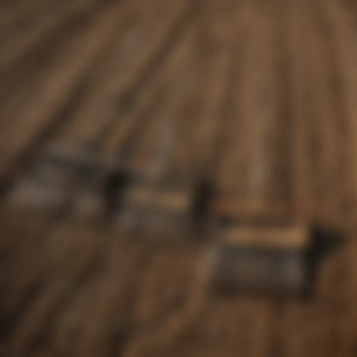Different types of manure rakes displayed side by side to show diversity in design.