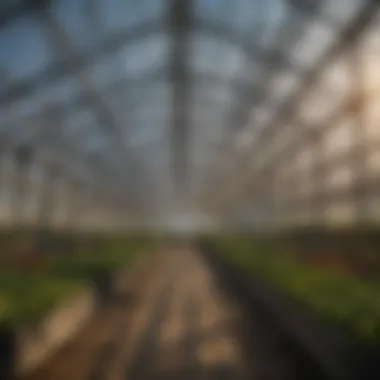 Metal Framework for Greenhouses Metal greenhouse frame demonstrating durability