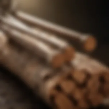 Innovative Materials in Two-Man Log Tongs Innovative materials used in modern two-man log tongs