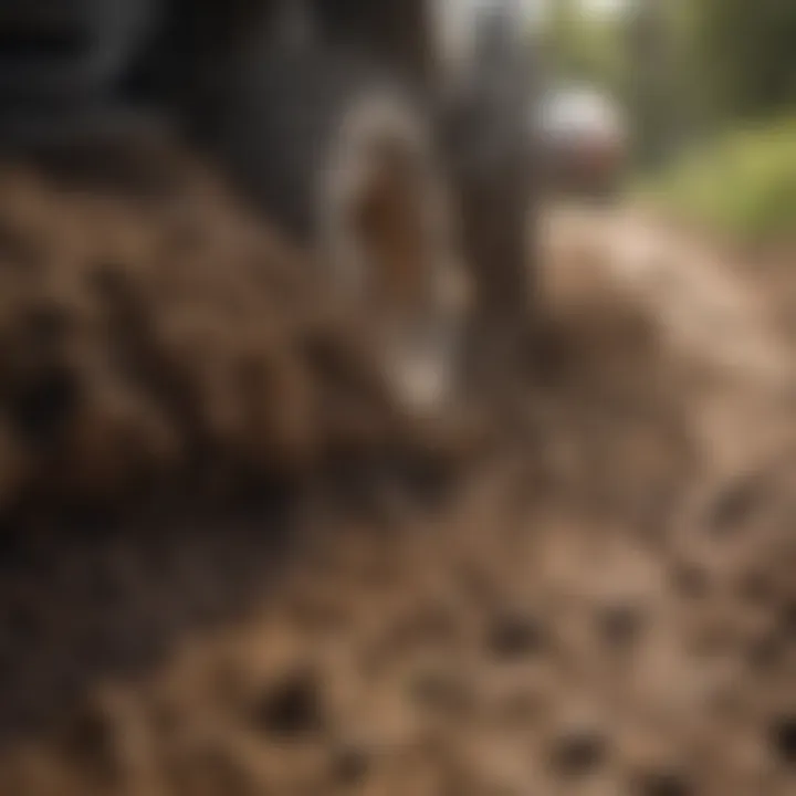 Detailed view of soil conditions in off-road areas