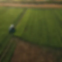 An aerial view of lush green fields ready for seeding