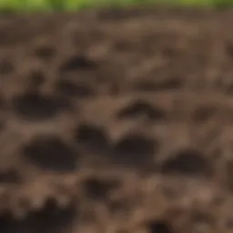 Close-up of freshly tilled soil ready for seeding