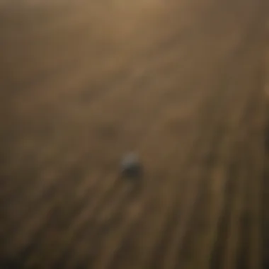 Aerial View of Perris Sod Farms Aerial view of sod farming landscape in sunny California