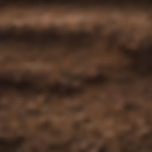 Illustration depicting soil layers with varying temperature gradients