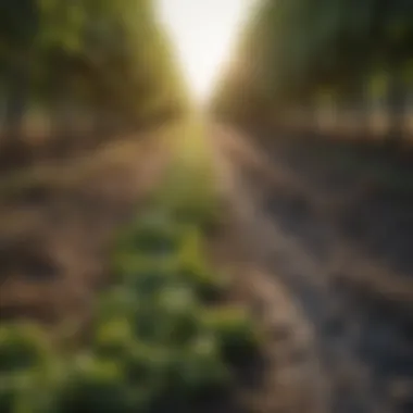 Connecting Agriculture to Public Health A nutritious harvest ready for distribution